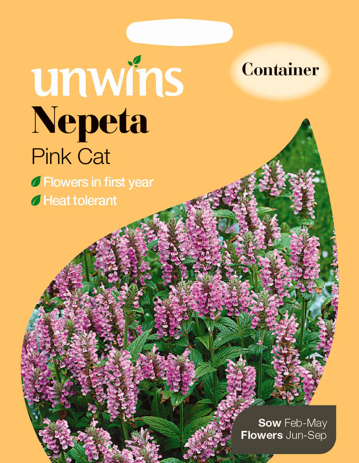 Nepeta Pink Cat