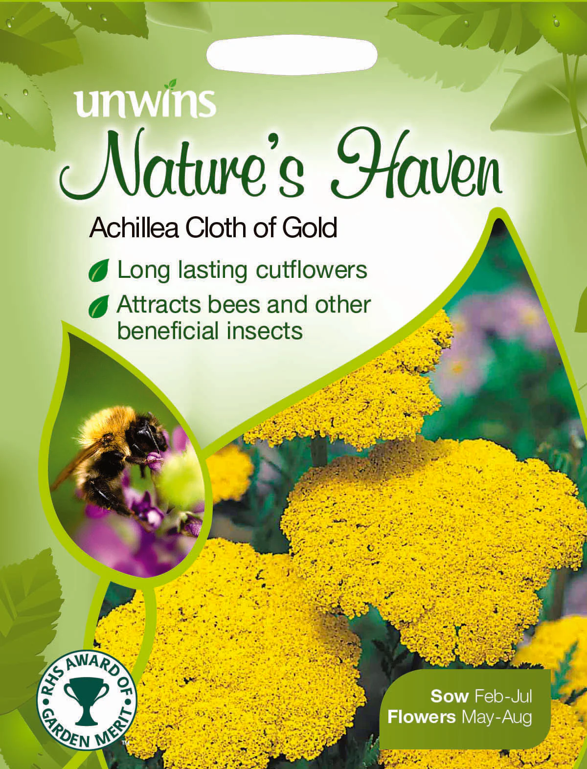 NH Achillea Cloth of Gold