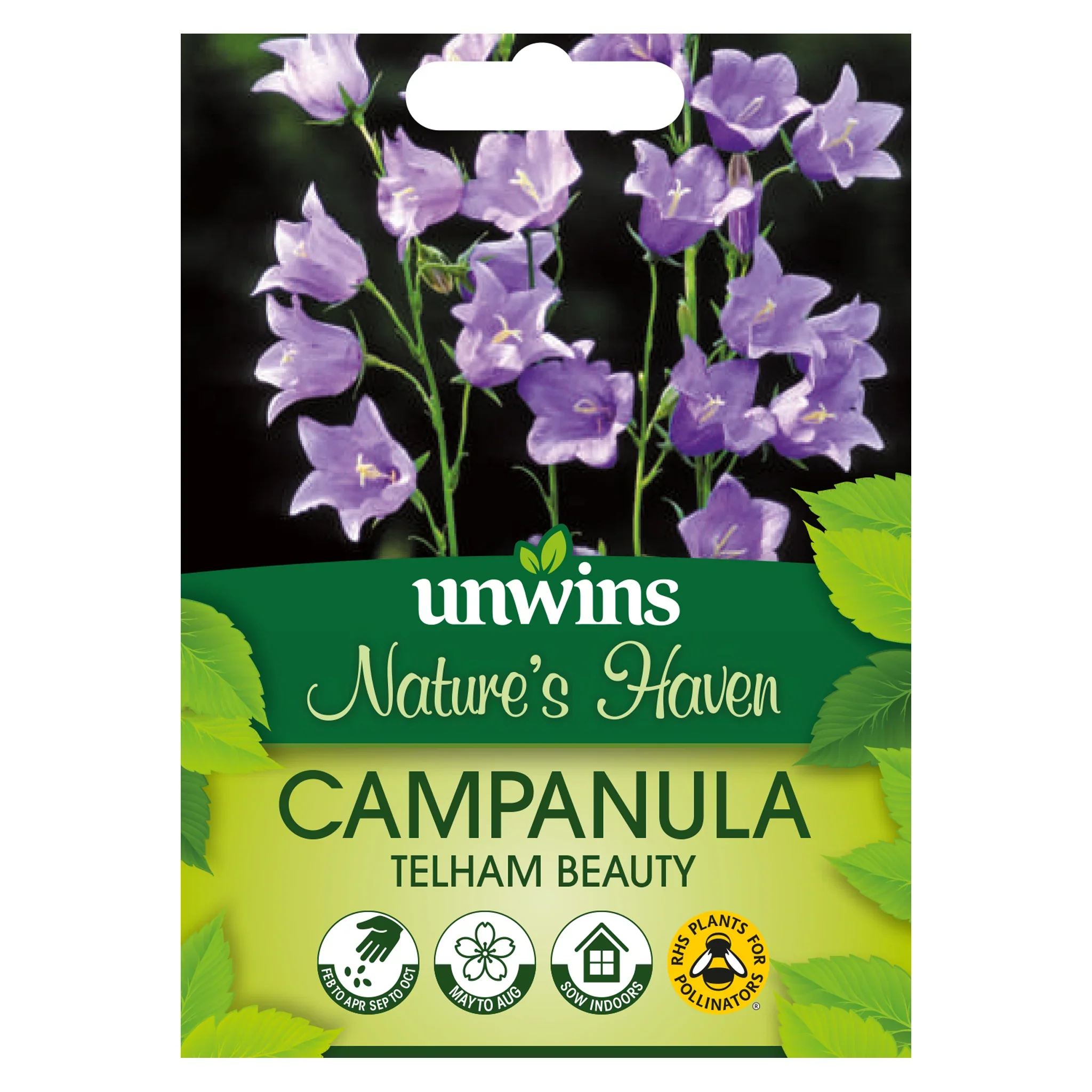 NH Campanula Telham BeautyFlower - New 2023