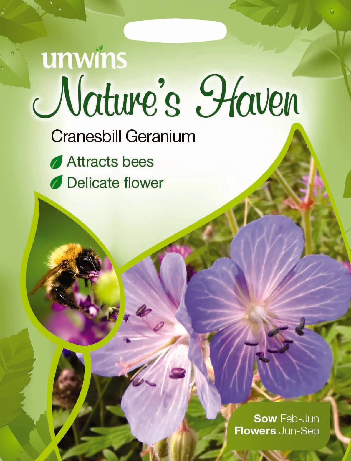 NH Cranesbill Geranium
