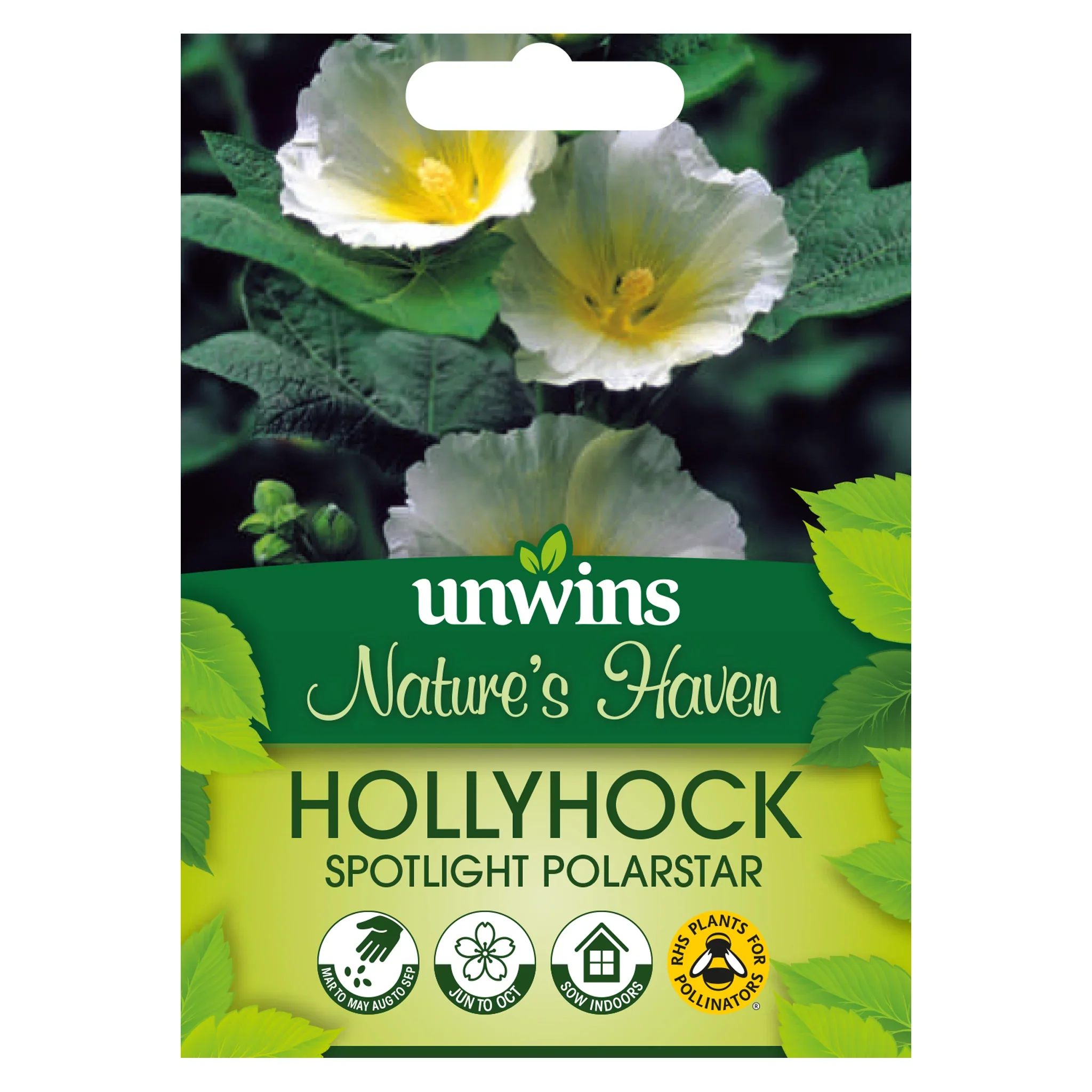 NH Hollyhock Sptlight PolarstrFlower - New 2023