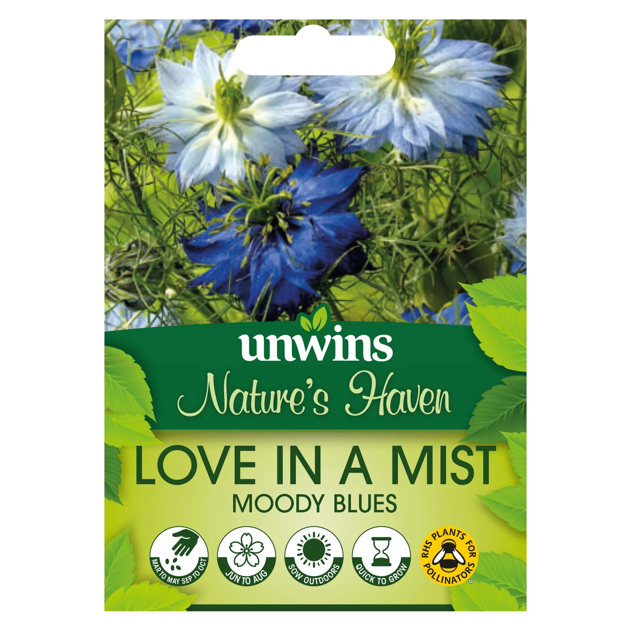NH Love in a Mist Moody BluesFlower