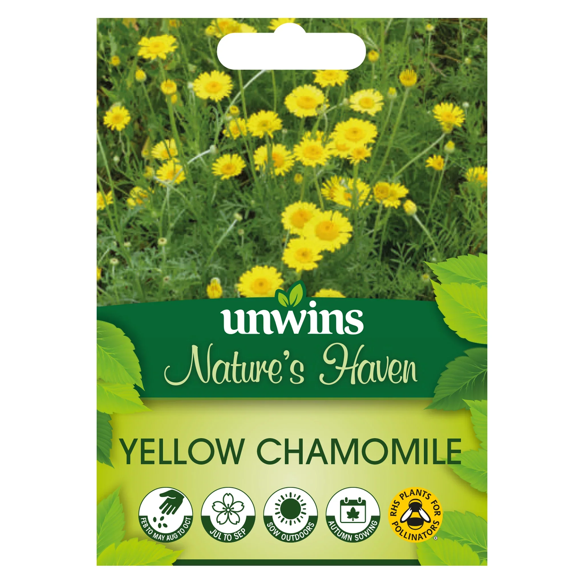 NH Yellow ChamomileFlower - New 2023