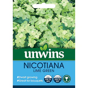 Nicotiana Lime Green