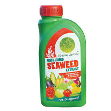 Ocean Leave Liquid seaweed 1ltr - Image 2