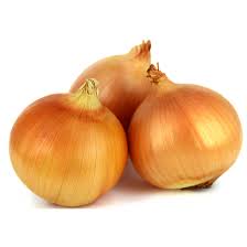 ONION STURON (YELLOW) 100