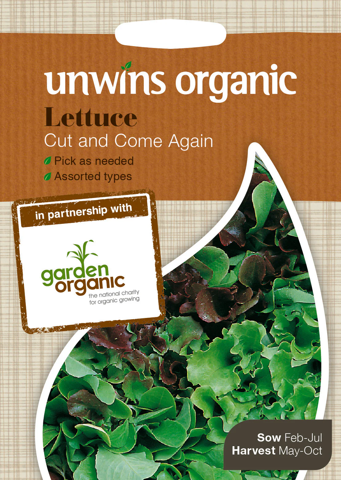 Organic lettuce cut and come again