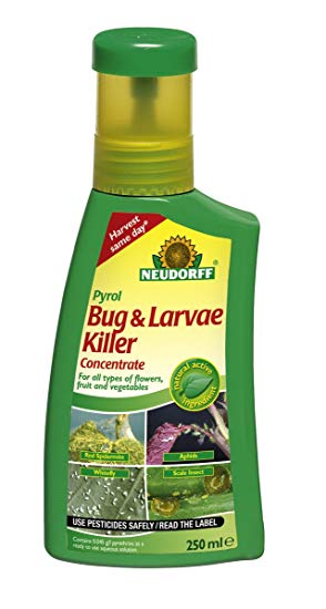 BUGFREE Concentrate 250ml