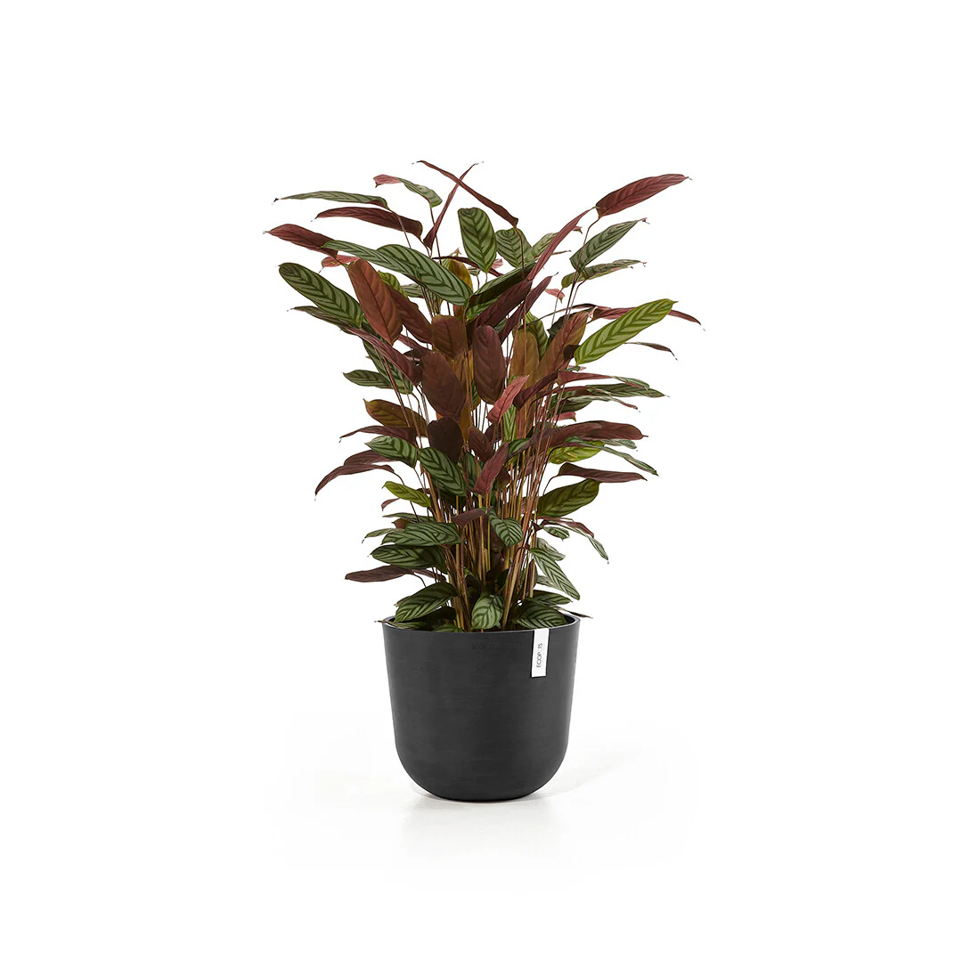 Oslo Dark Grey Ø35 - Image 2