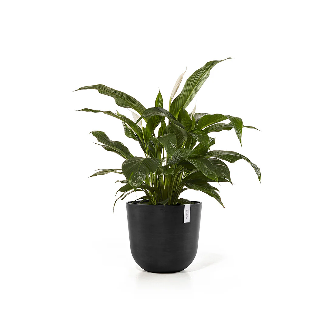 Oslo Dark Grey Ø45 - Image 2