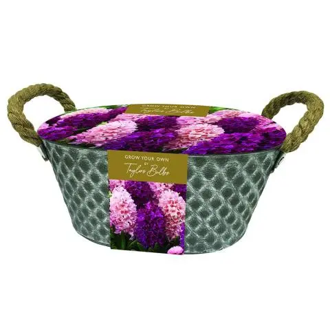 OUTDOOR HYACINTH METAL TROUGH X 6