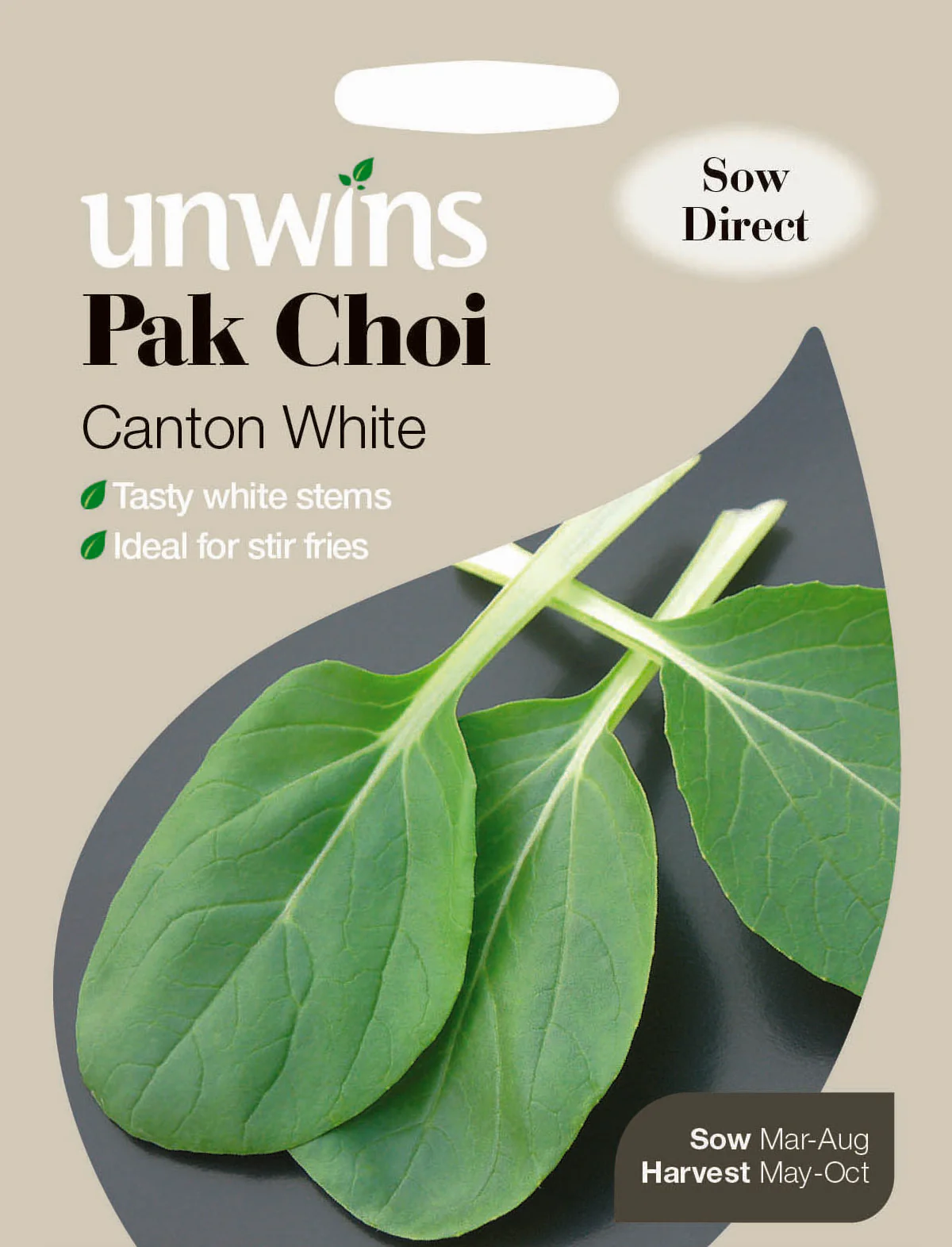 Pak Choi Canton White