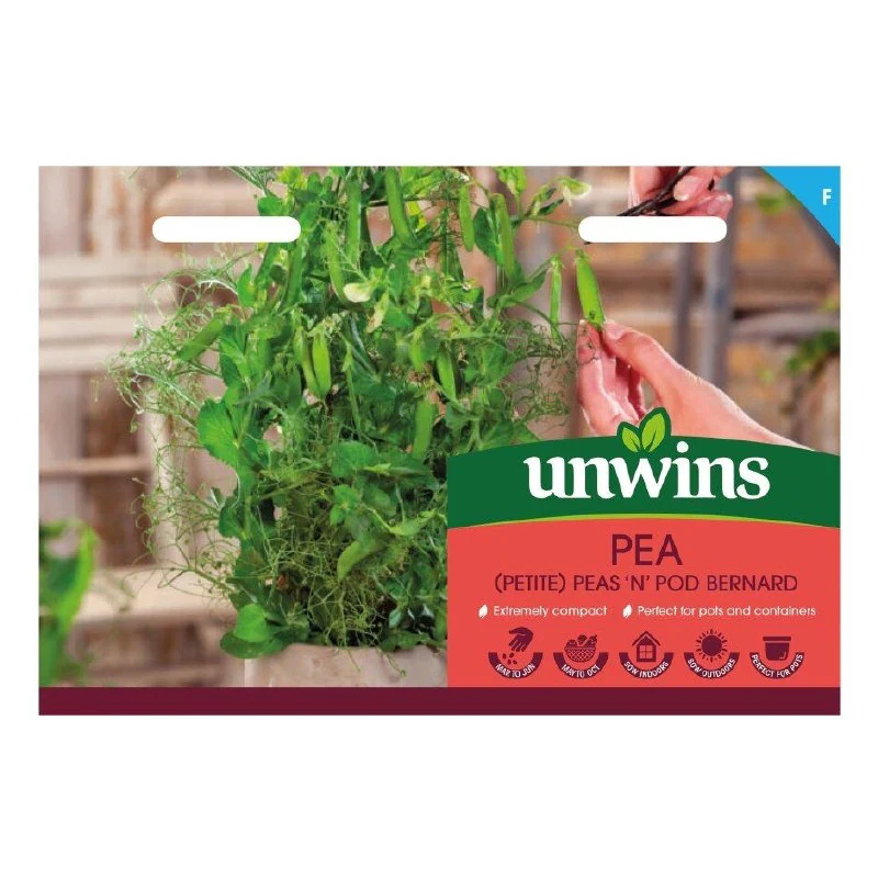 Pea (Petite) Peas N Pod Bernard