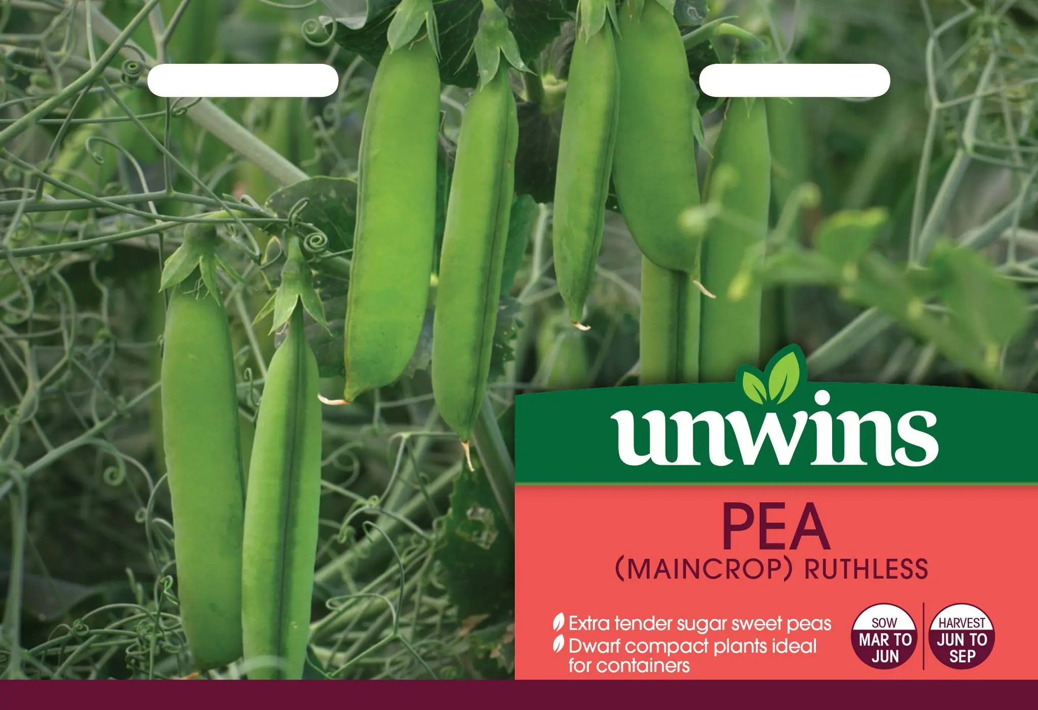 Pea Ruthless