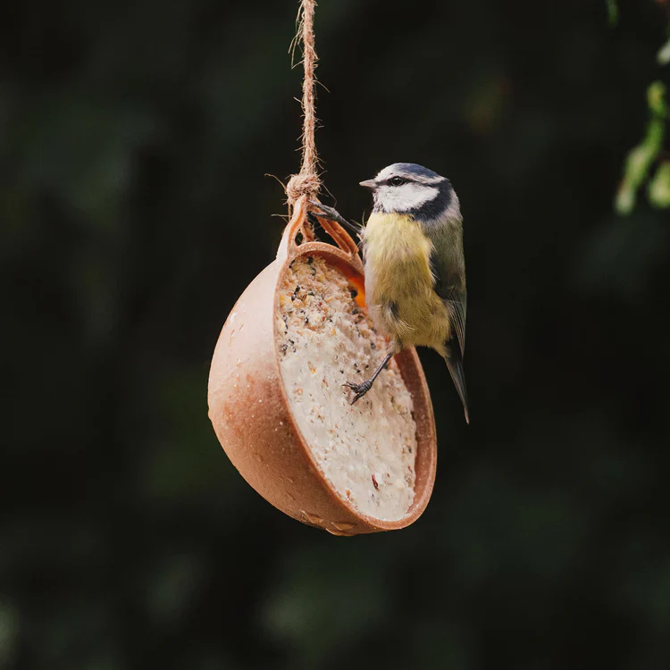 Peckish Complete EcoFeast Suet Feeder Single - Image 2