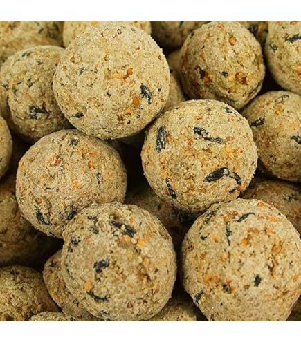 Peckish Complete Energy Balls 50 Tub - Image 2