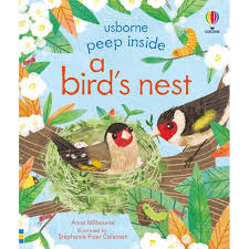 Peep Inside a Bird s Nest 3+