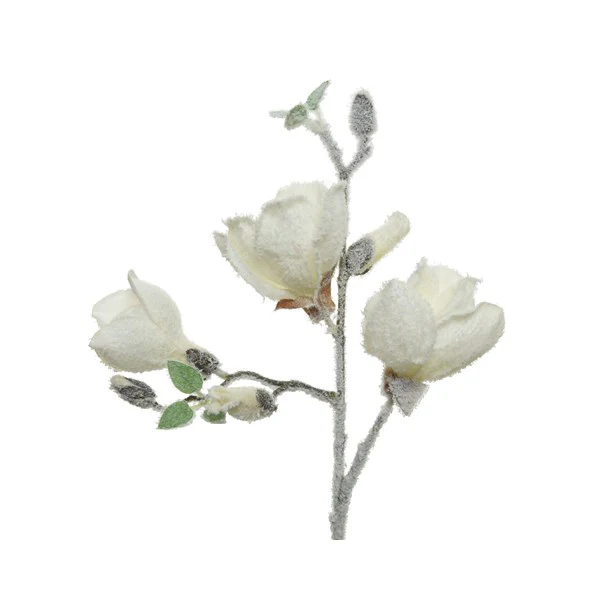 pes magnolia spray white