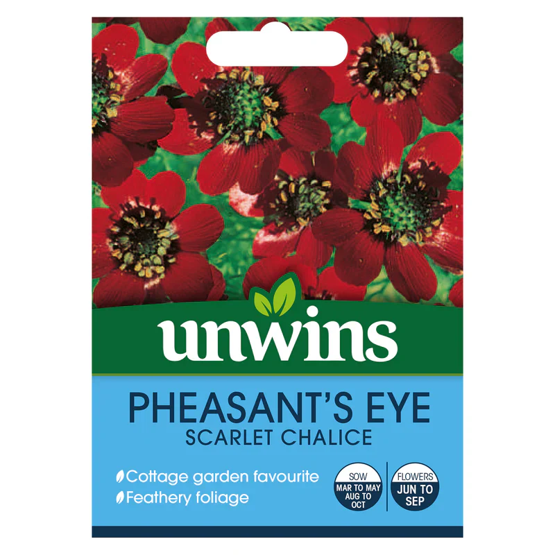 Pheasant s Eye Scarlet Chalice