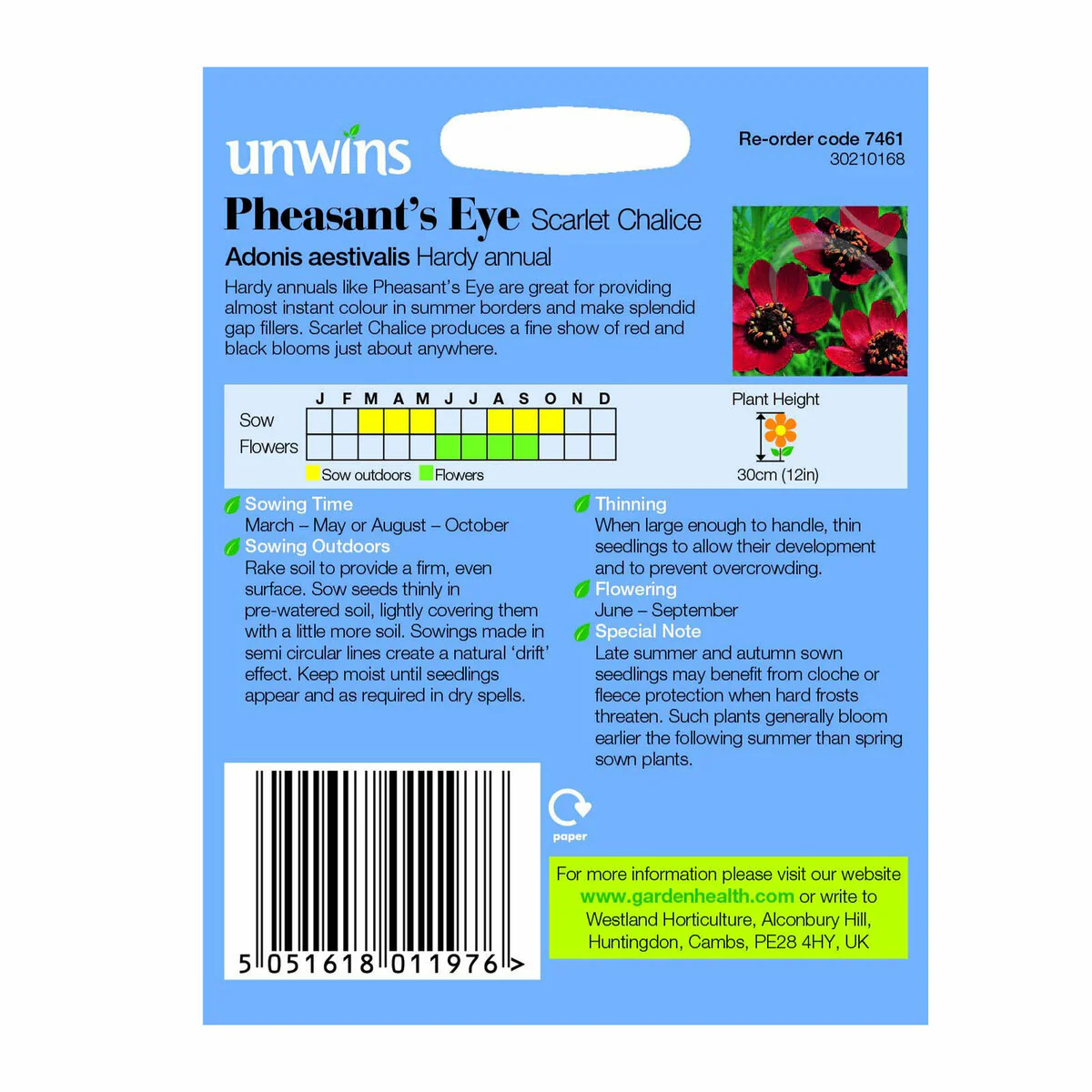 Pheasant s Eye Scarlet Chalice - Image 2