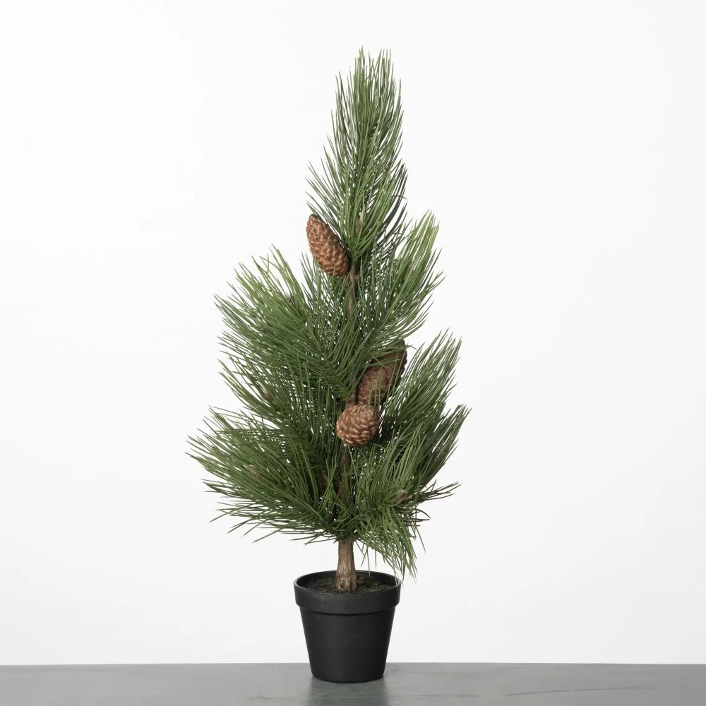Pine Cone Tree in pot H68cm Green