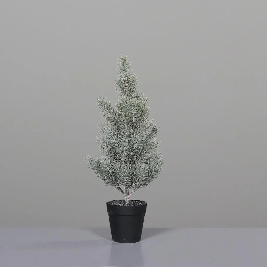 Pine tree iced in (black plastic pot 52 cm)