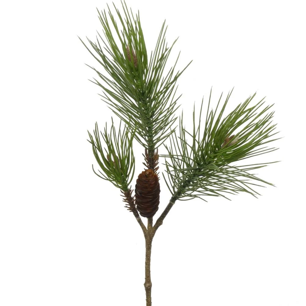 Pinus +Cone L59cm Green