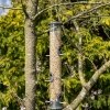 PK All Weather Giant Seed Feeder - Image 3