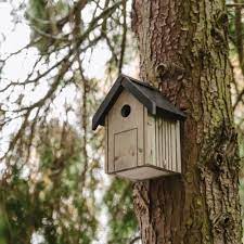 PK Garden Bird Nest Box - Image 2