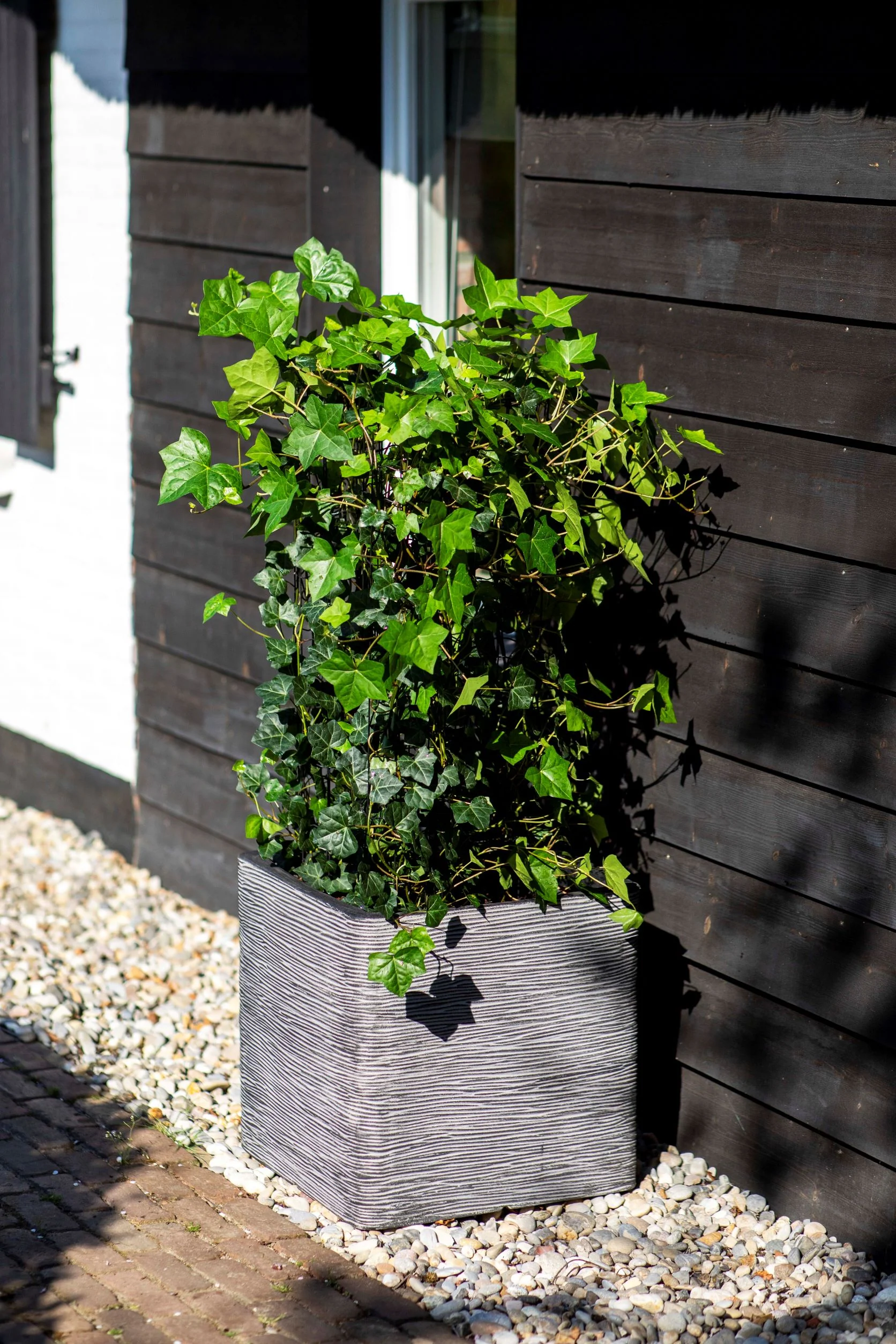 Planter Square Rib  NL Anthracite 40cm H40cm W40cm - Image 3