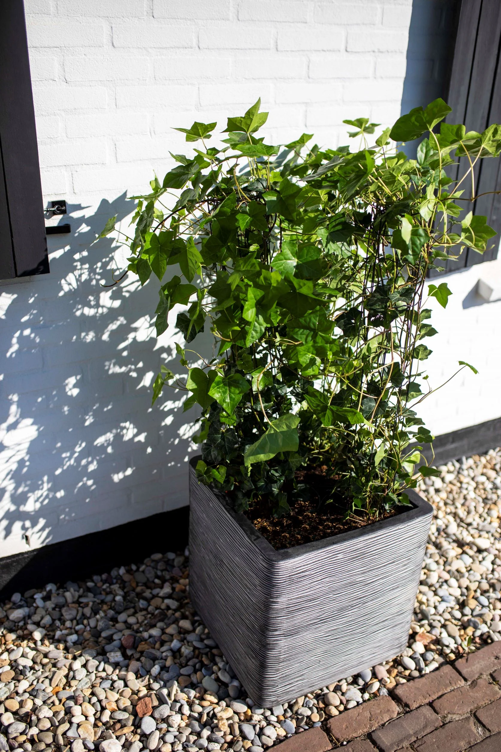 Planter Square Rib  NL Anthracite 40cm H40cm W40cm - Image 4