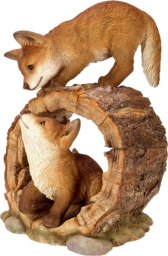 Playful Fox Cubs B x 1