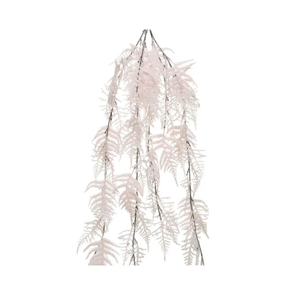 plc asparagus hanging bush blush pink