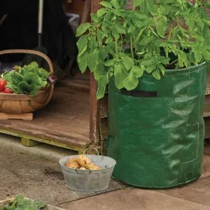 Potato Planter Bag