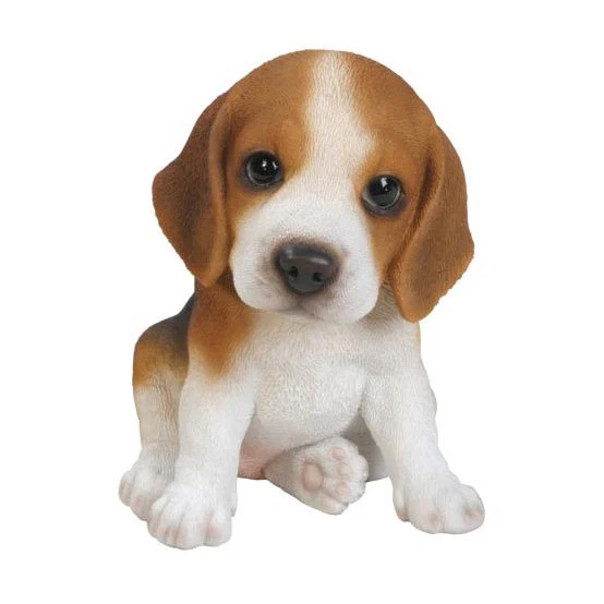 PP Beagle Puppy F