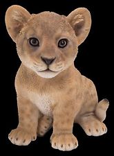 PP Lion Cub F