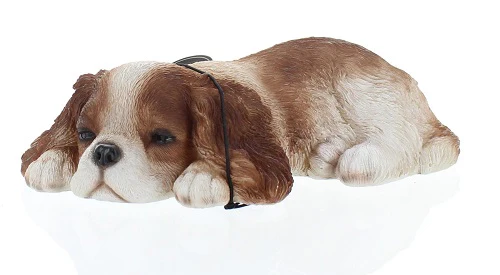 PP Sleeping King Charles Pup F