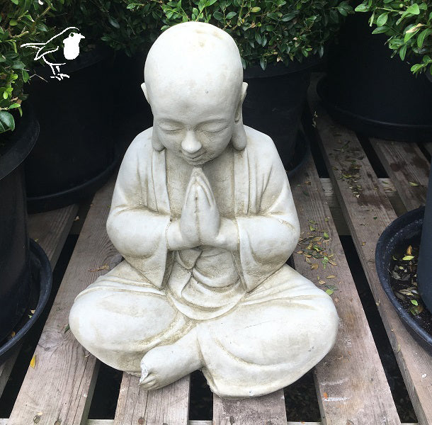 Praying Siam Buddha