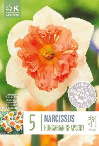 PREM NARCISSUS COLLAR HUNGARIAN RHAPSODY X 5