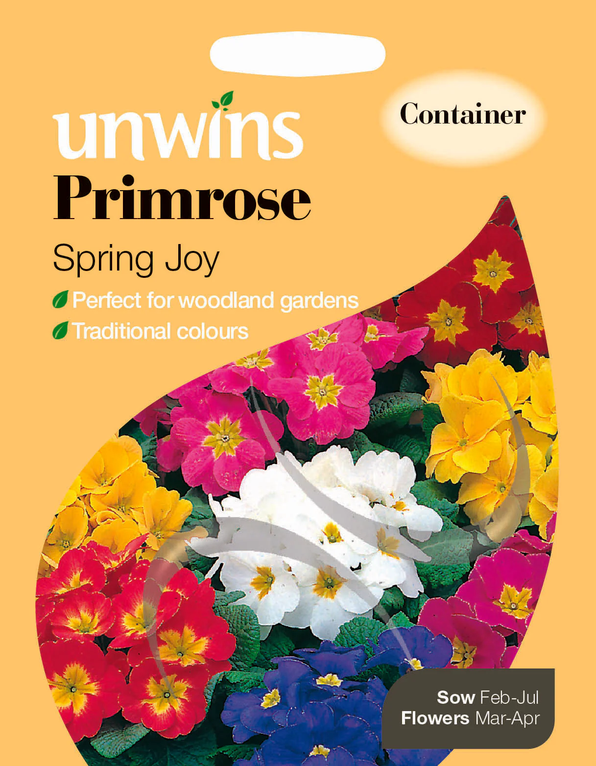 Primrose Spring Joy