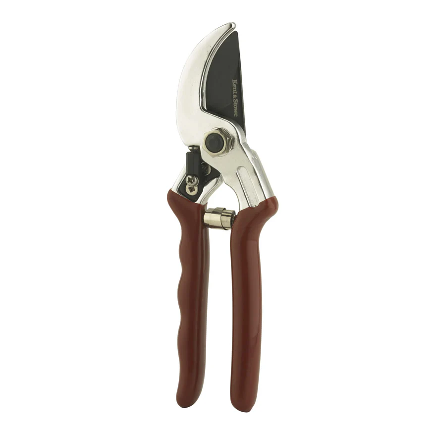 Professional Anvil Secateurs