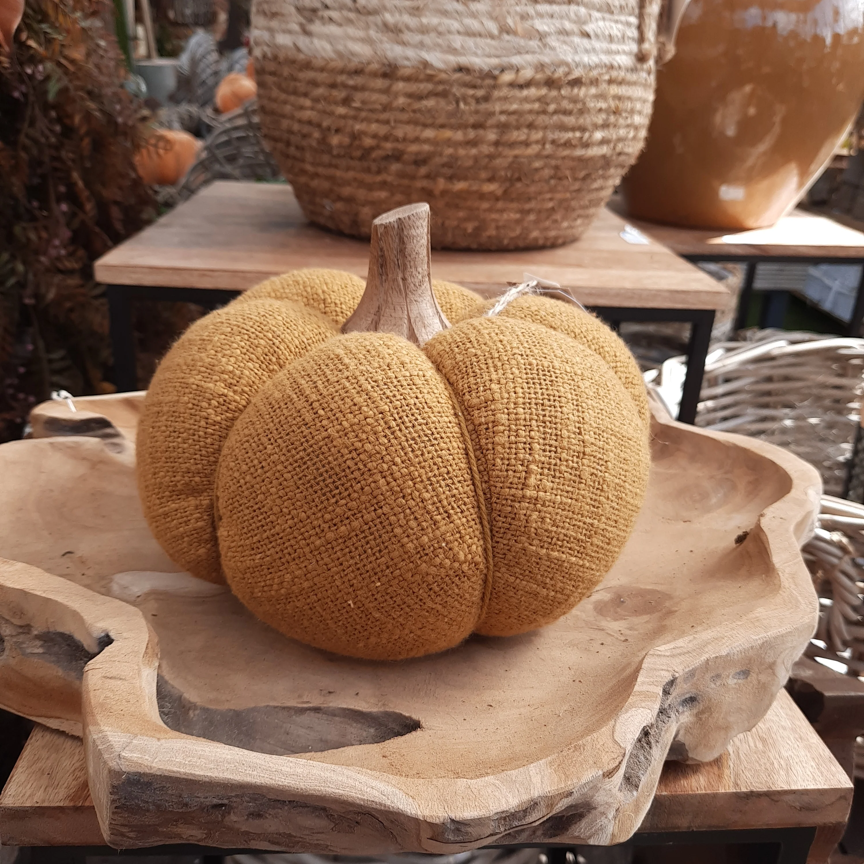 Pumpkin Gautal Mustard Medium