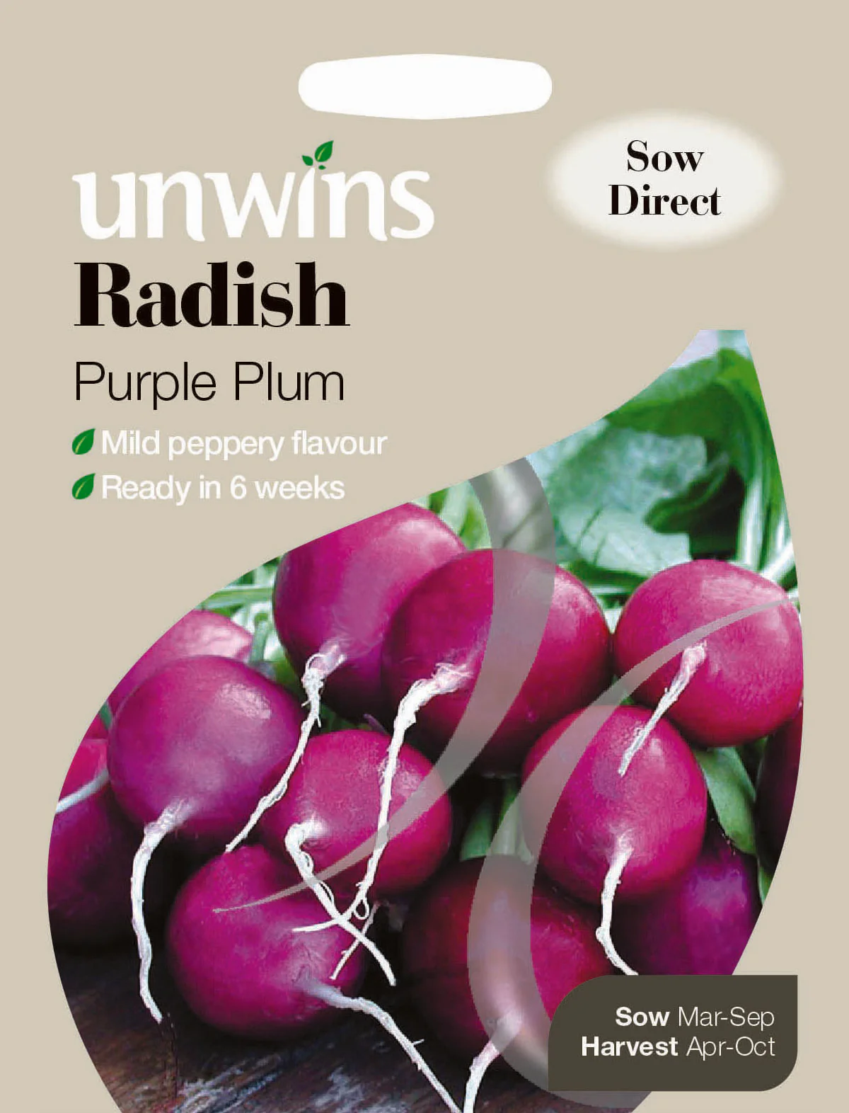 Radish Purple Plum