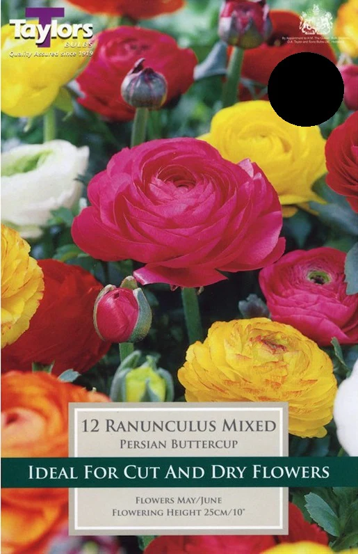 RANUNCULUS