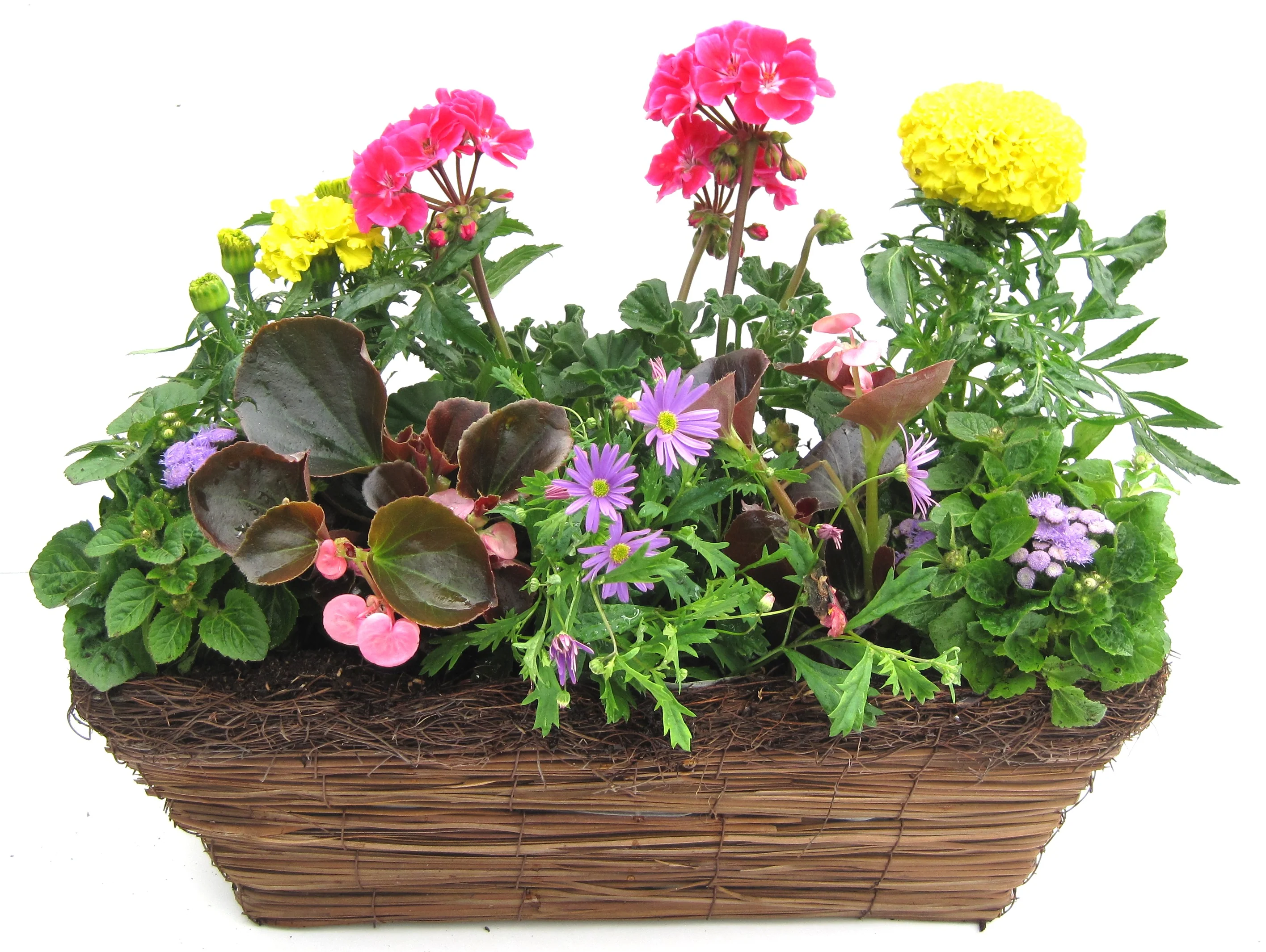 40cm Rattan Trough