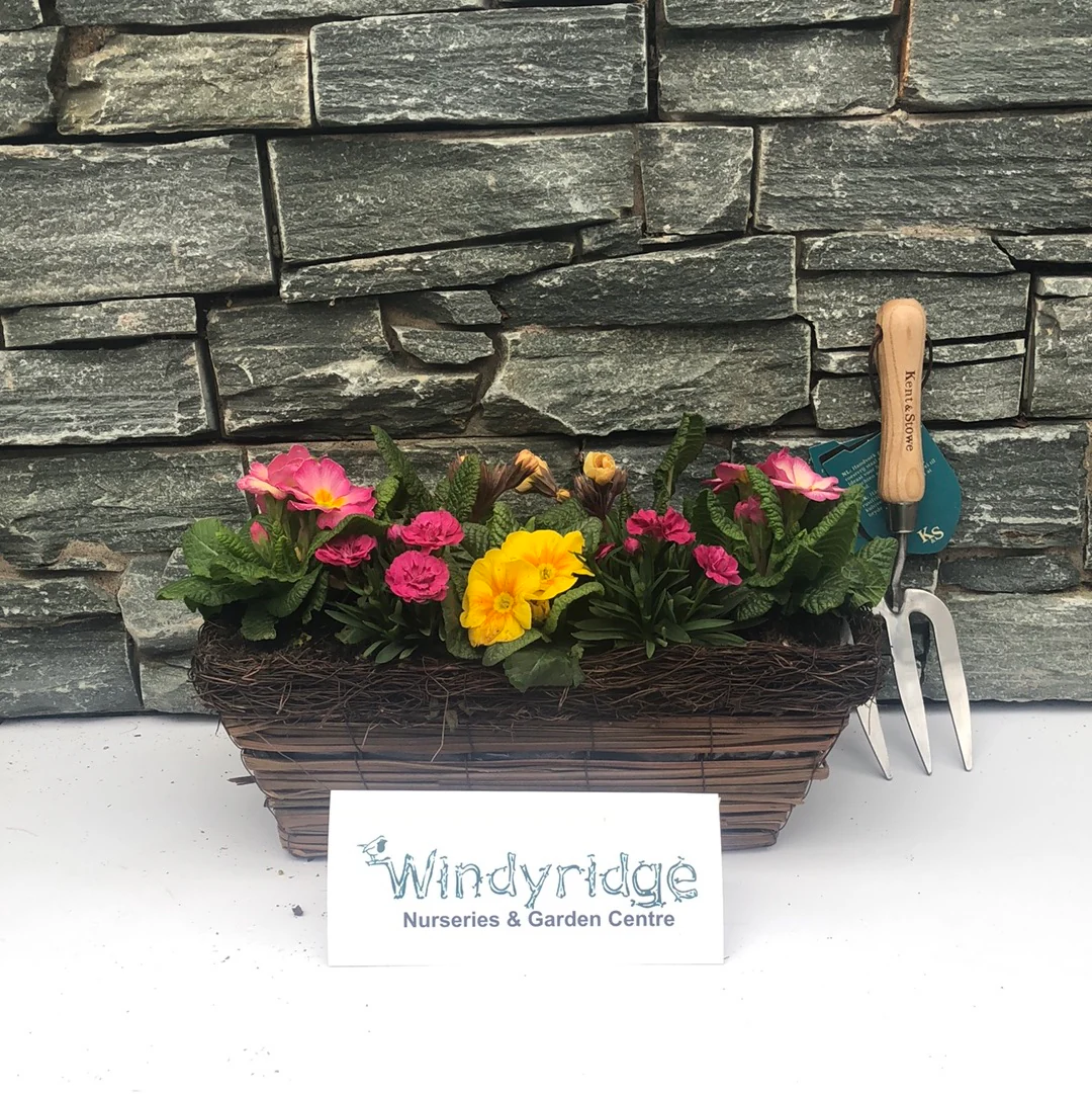 40cm Rattan Trough - Image 2