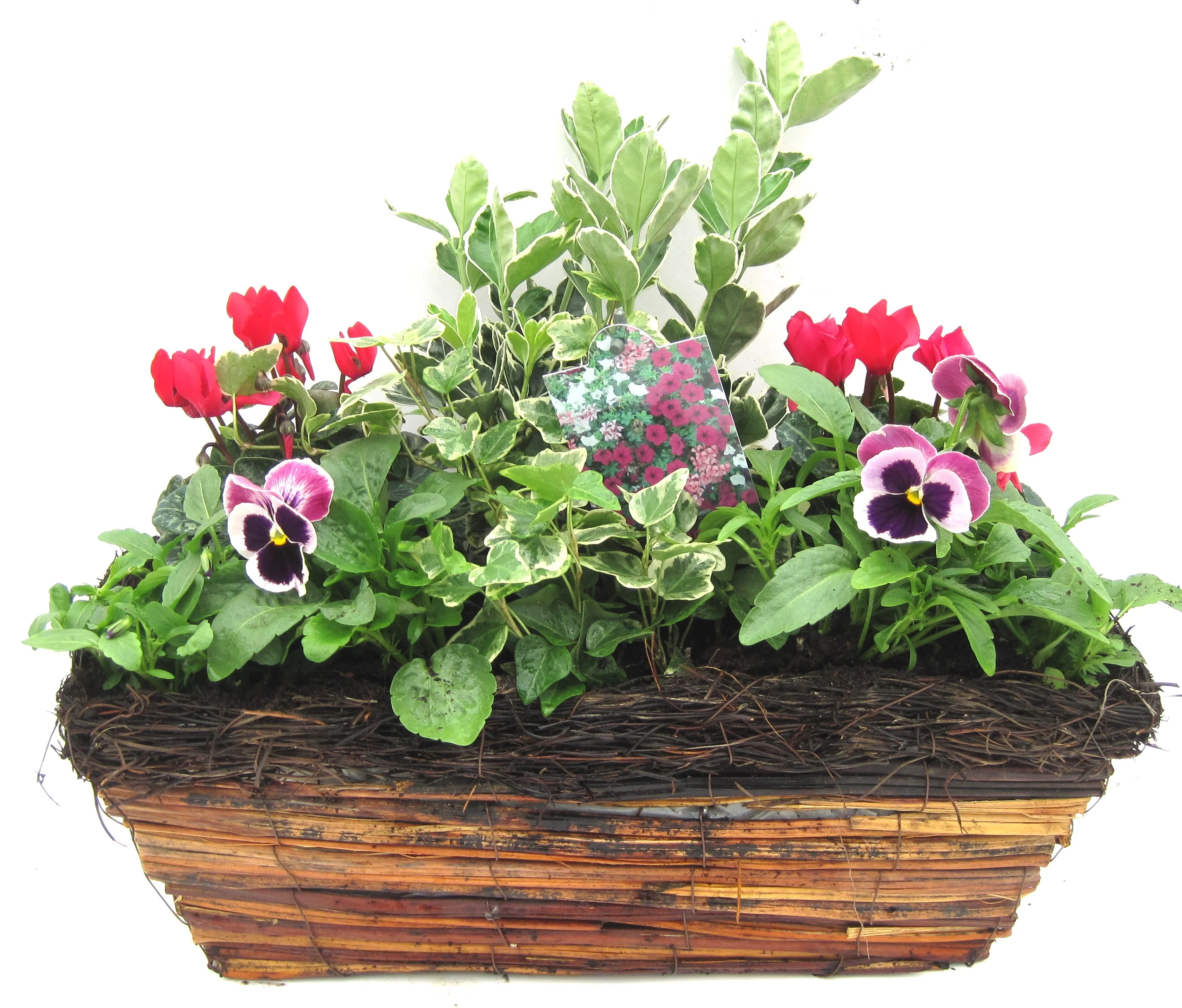 Rattan Trough Medium 42cm