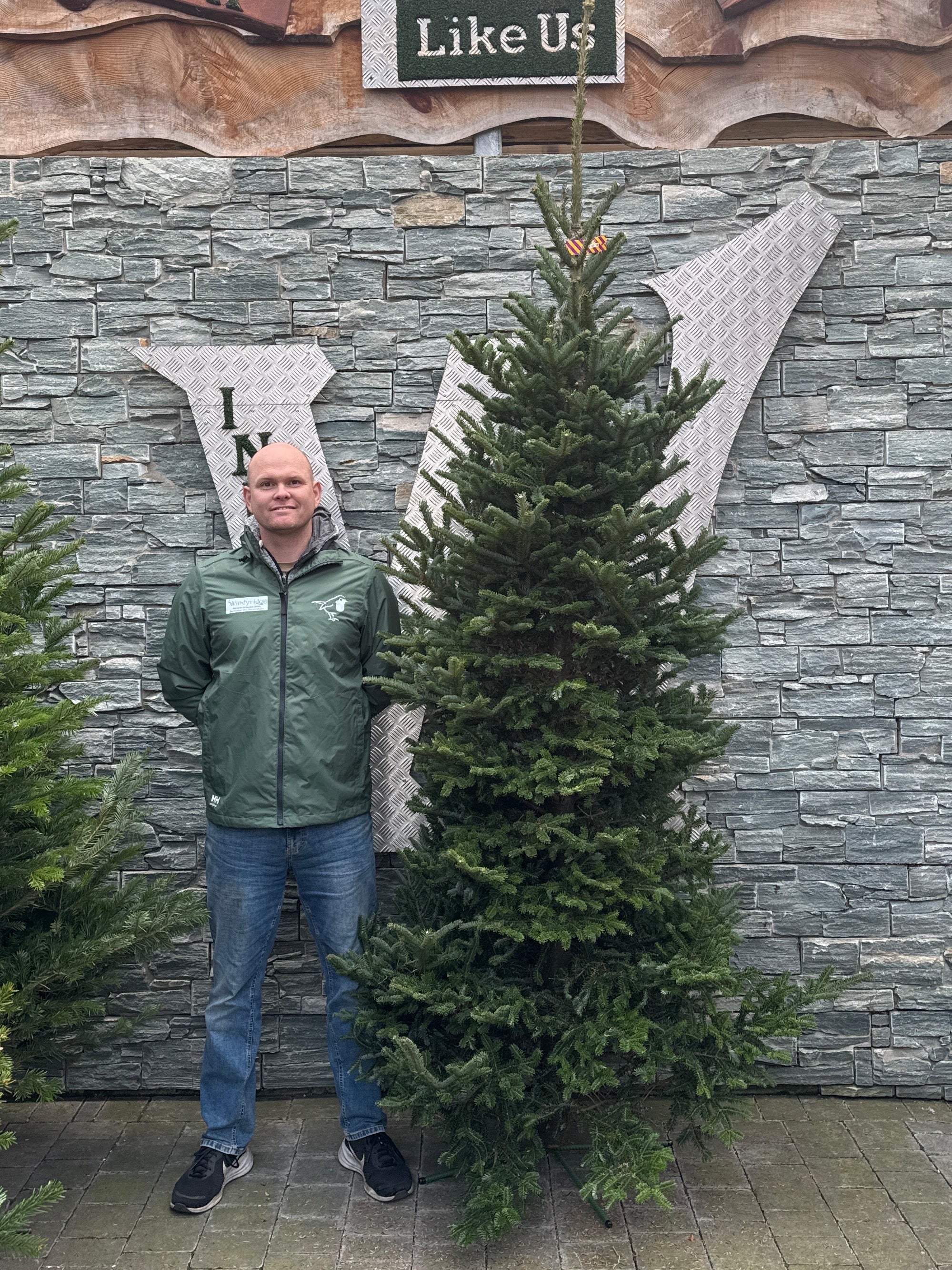 Real Christmas Tree Fraser Purple 7.5ft-8.3ft (225-250cm)