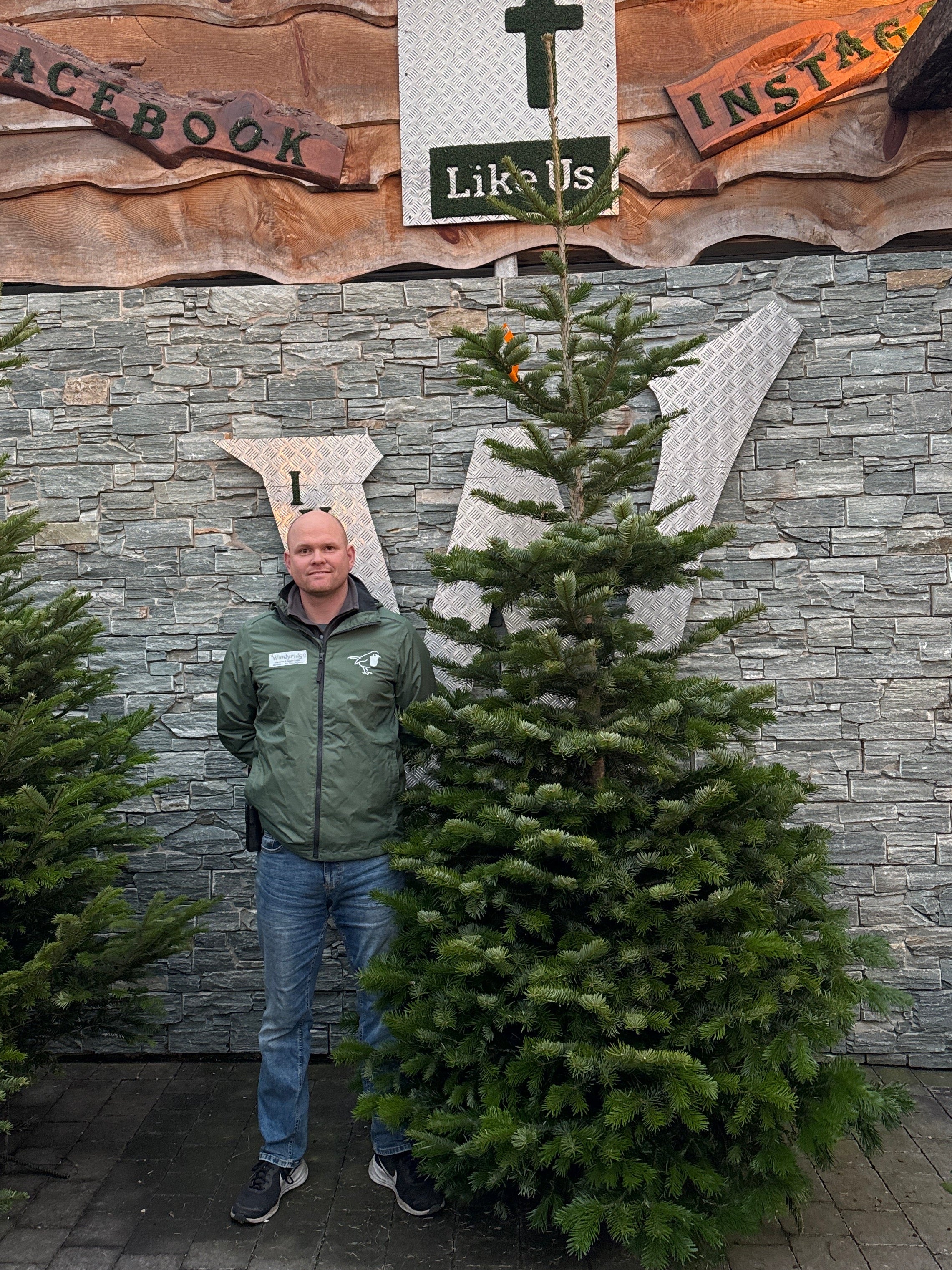 Real Christmas Tree Nordman Fir Orange Tag 8.3ft-9.1ft (250-300cm)