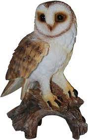 Real Life Barn Owl B - Image 2